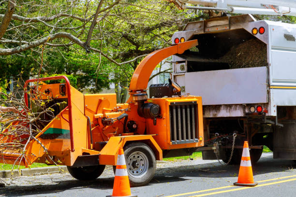 Leaf Removal in Pine Crest, TN