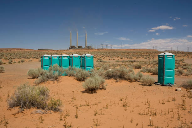 Best Soil Testing and Treatment  in Pine Crest, TN